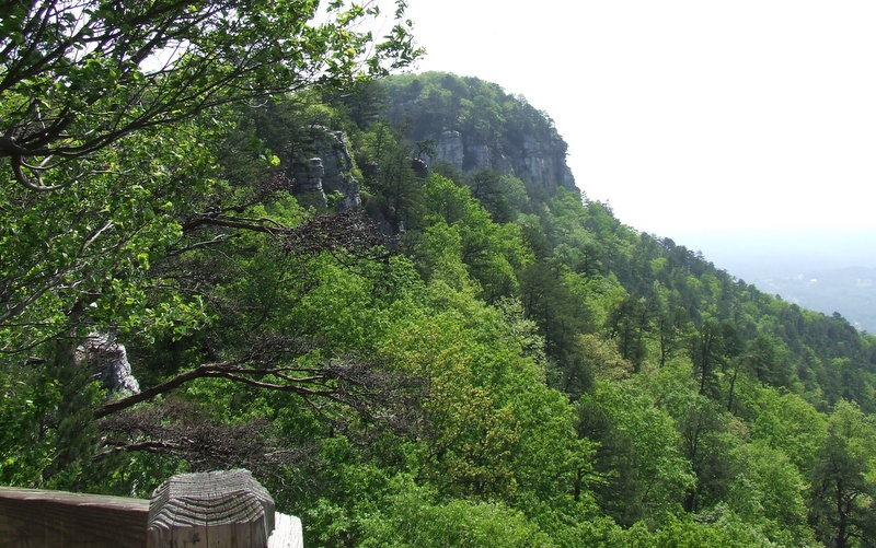 [DSCF90816.jpg]
