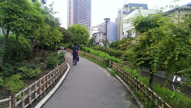 IMAG3541.jpg