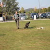 IMG_3143.JPG
