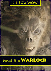 What Is A Warlock