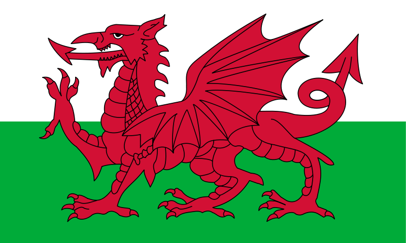 [Flag_of_Wales_2_svg%255B2%255D.png]