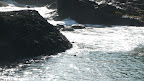 P1000999.JPG