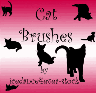 gato-brushes2