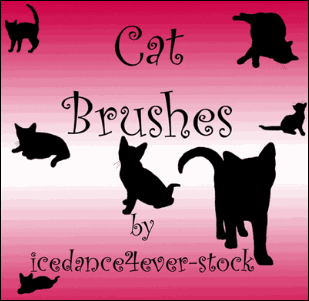gato-brushes2 gato-brushes2