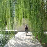 DSC02966.JPG