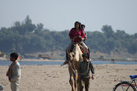 DSC05894.JPG