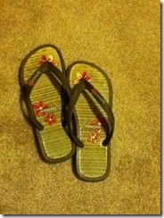 Slippers2