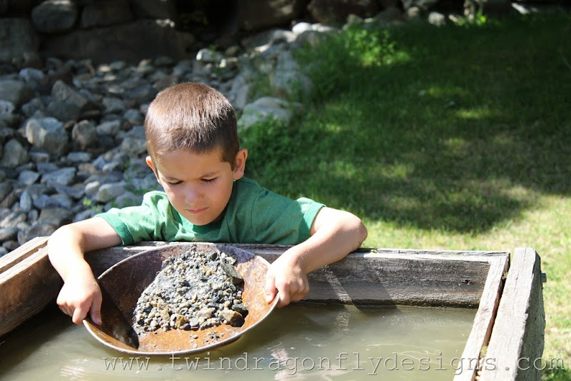 IMG_3750 IMG_3750