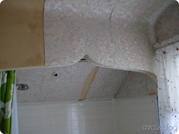 IMG_7448 IMG_7448