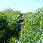 dsc00349.jpg