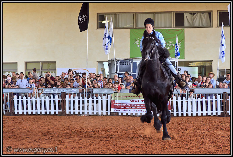 il/Фото: Stallion Show 2011 (20110416 stllion show 093 2443)