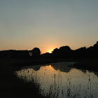DSC_2875.JPG