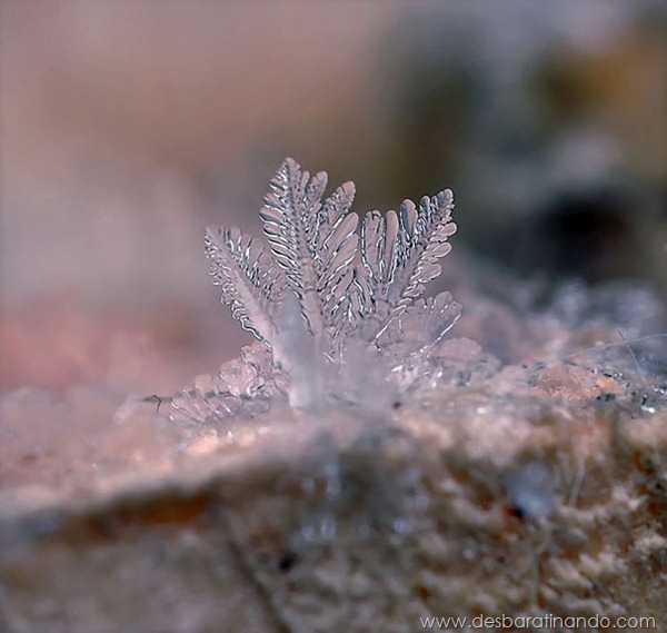 flocos-de-neve-macro-snowflakes-macro-photography-andrew-osokin-desbaratinando (11)