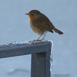 Jan_feb 2010