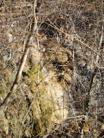 111227 L'Annunciata da Angone 010.JPG Photo