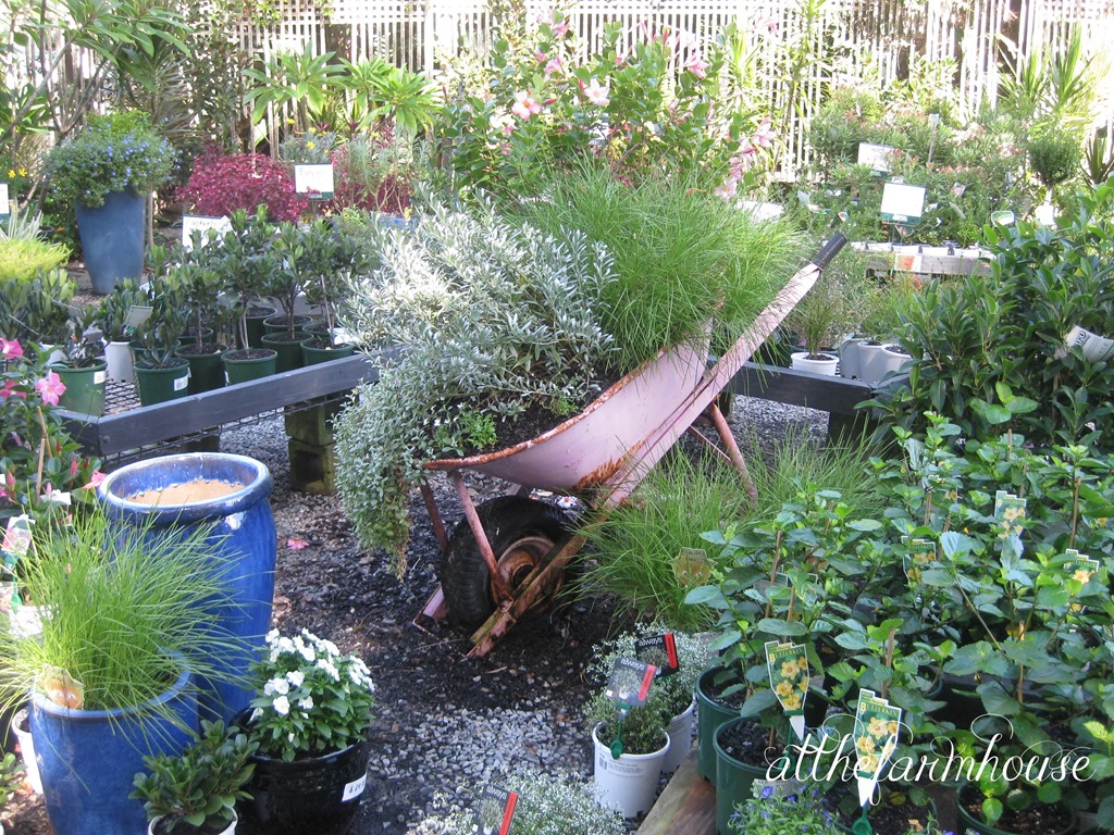 [IMG_5735a%255B3%255D.jpg]