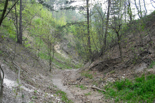 Antónia-árok
