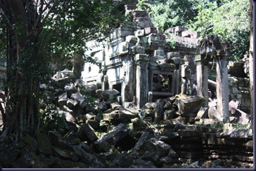 IMG_2253 IMG_2253