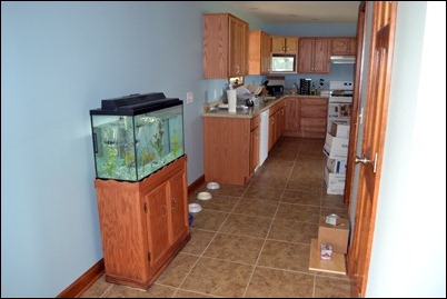 kitchen during 01 kitchen during 01