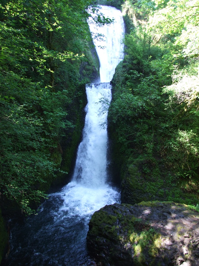 [DSCF71355.jpg]