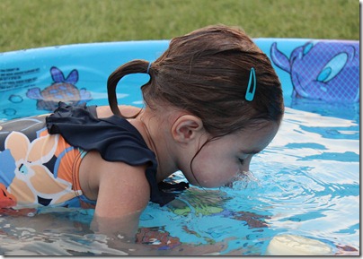 IMG_3886 IMG_3886