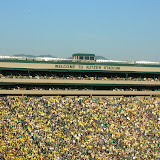 ducks 099.jpg