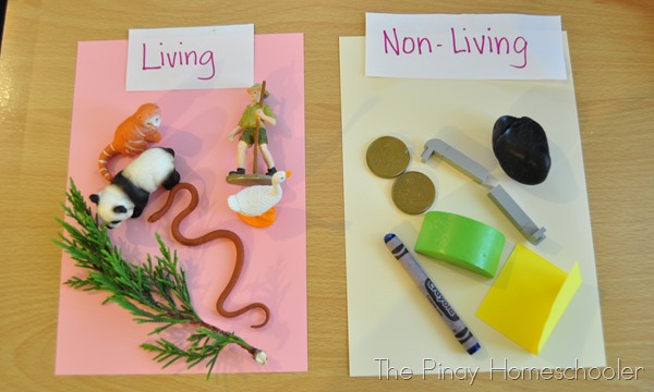 Printables Singapore School Classification Of Living Things Worksheet the pinay homeschooler september 2014 objectives to be able sort living and non objects