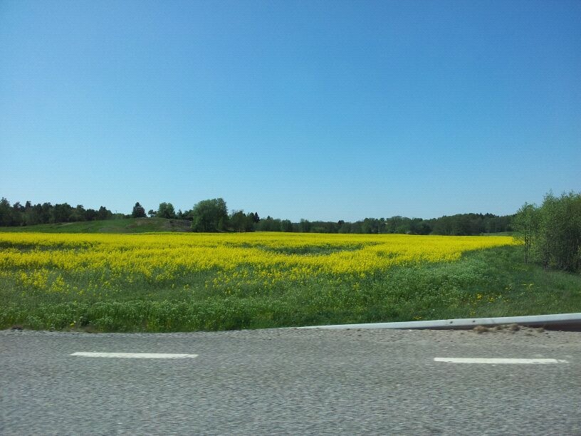 [IMG-20120525-WA00052.jpg]