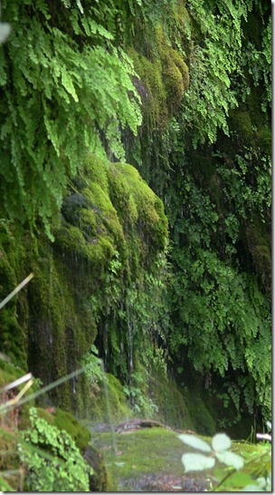 IMG_3830 IMG_3830