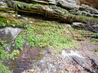 DSCN1728.JPG
