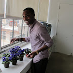 My African Violets