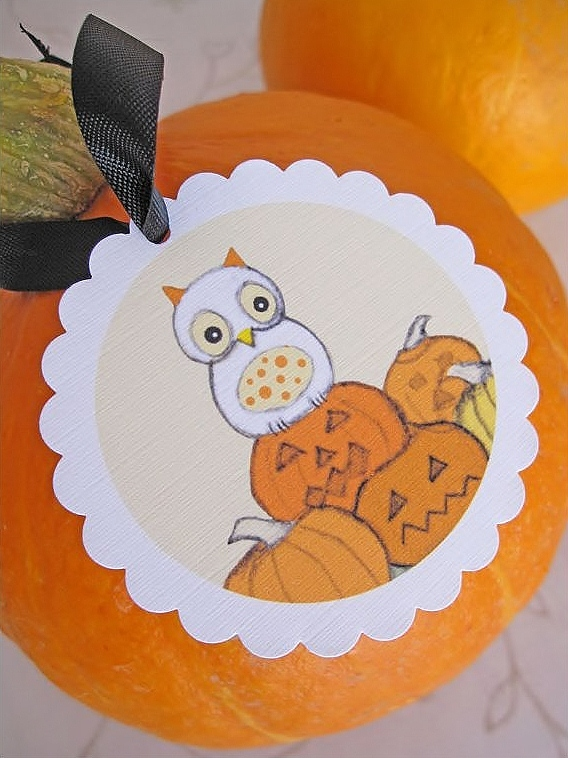 [Bumpkin1%255B6%255D.png]