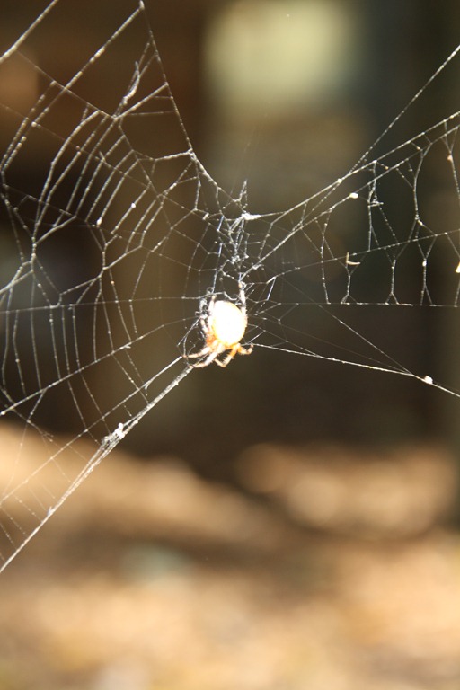 [IMG_88444.jpg]