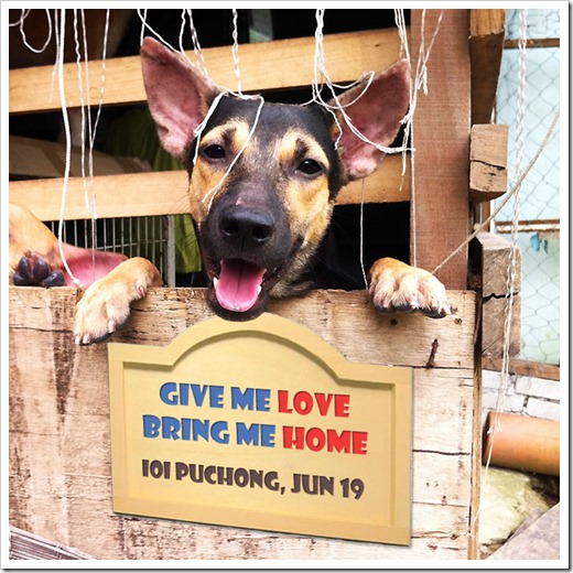 bring_me_home_crop_v2