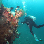 US Liberty (Tulamben, Bali)