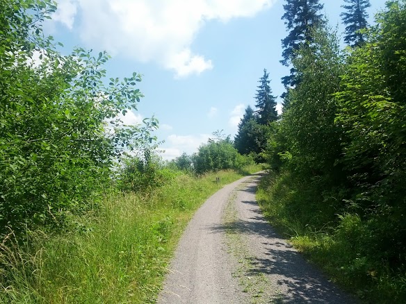IMG_20130706_121629.jpg