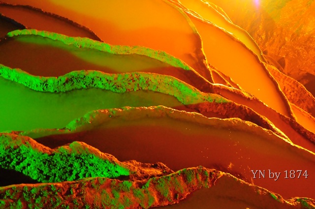 [DSC_5607%255B11%255D.jpg]