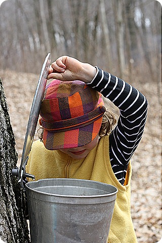 IMG_8976 IMG_8976