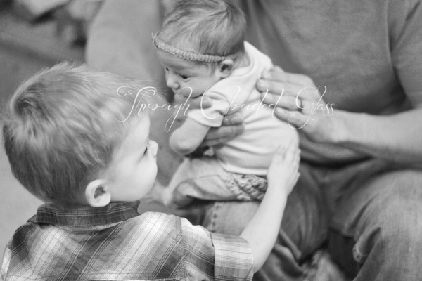 DSC_0537blog.jpg DSC 0537blog