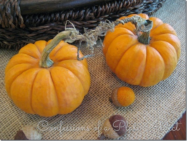 CONFESSIONS OF A PLATE ADDICT Terracotta and Pumpkins Fall Centerpiece CONFESSIONS OF A PLATE ADDICT Terracotta and Pumpkins Fall Centerpiece