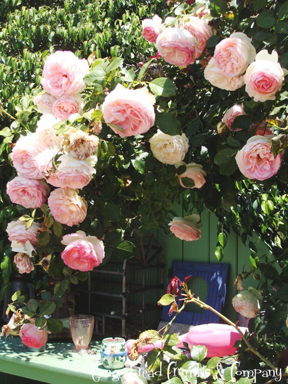 [inTheGarden8%255B5%255D.jpg]