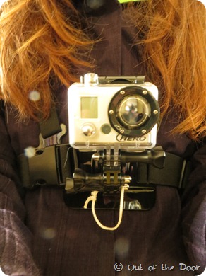 IMG_2933 IMG_2933