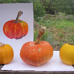 vegie_artworks_10 - 137.jpg