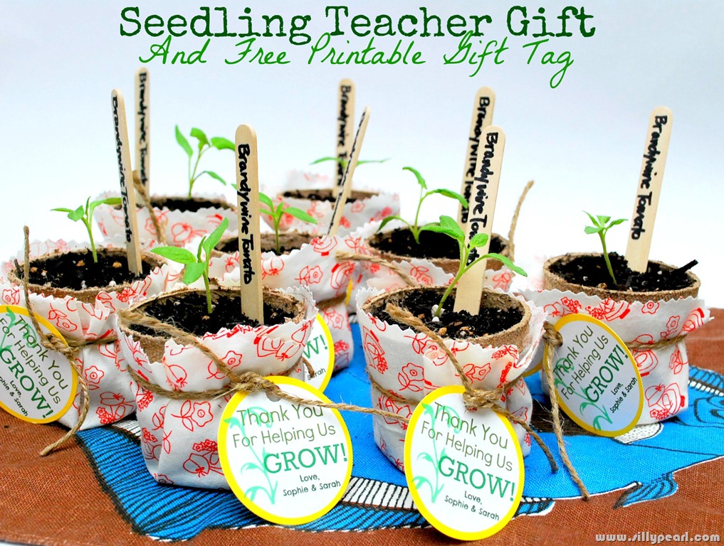 [Seedling%2520%2520Teacher%2520Gift%2520and%2520Free%2520Printable%2520Gift%2520Tag%2520by%2520The%2520Silly%2520Pearl%255B4%255D.jpg]