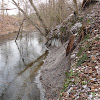 dsc06196.jpg