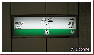 IMG_4090 IMG_4090