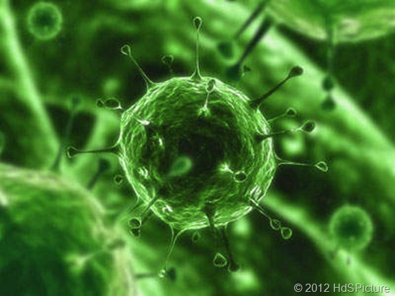 virus virus