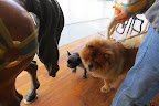 I think we should go for a little ride on the carousel.