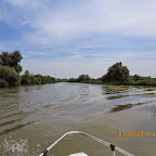 IMG_5226.JPG