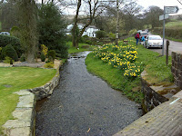 DSC00531.JPG Photo